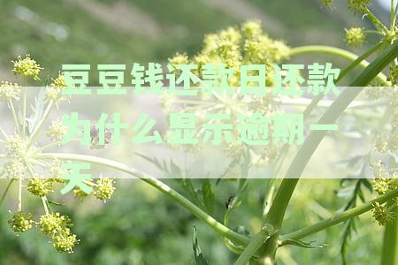 豆豆钱还款一天是否会影响个人征信记录