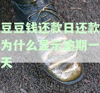 逾期一天，豆豆钱账单为何推移至下月？揭示还款背后的规则