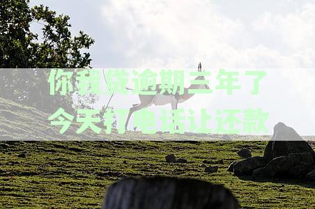 你我贷逾期三年了今天打电话让还款