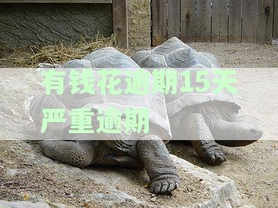 有钱花严重逾期20天后果及处理办法