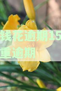 有钱花逾期了十几分会影响借款吗？怎么办？