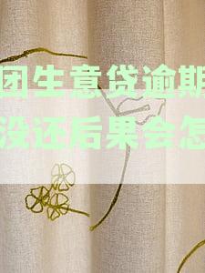 美团生意贷逾期半年未还，后果及安全性分析