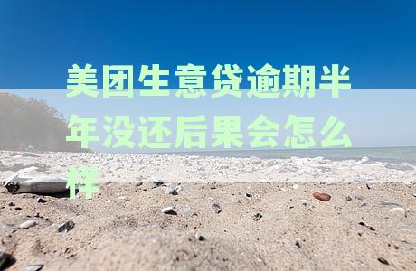 美团生意贷逾期三个月还款后仍需结清全款，逾期经历详解