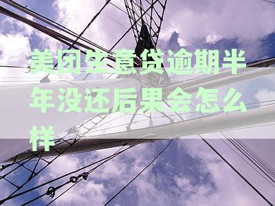 探讨美团生意贷逾期还款后能否再次申请贷款