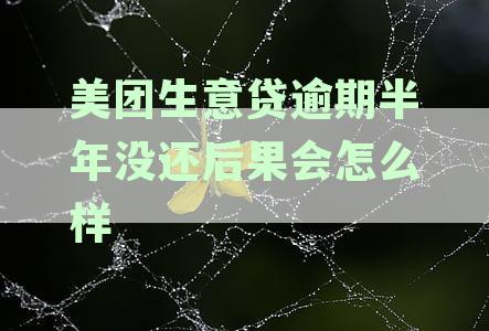探究美团生意贷逾期还款后是否还能成功申请再次借款
