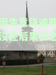 解决美团生意贷逾期问题：已还逾期款后仍要求还款全款如何应对