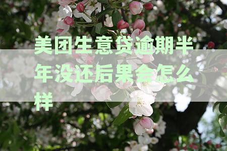 美团生意贷逾期半年没还后果会怎么样