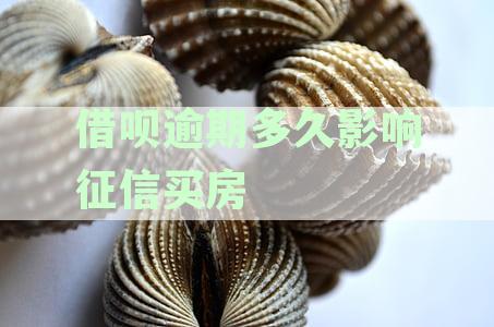 借呗逾期时间长度对征信买房的影响