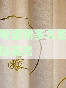 借呗逾期多久影响征信买房