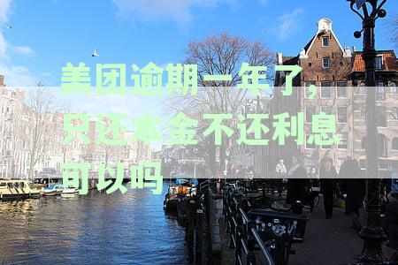 解决美团逾期问题：只归还本金，利息可以支付吗？