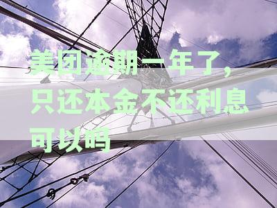 美团逾期一年了,只还本金不还利息可以吗怎么办