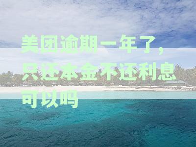 美团借款逾期一年后如何处理及催收影响