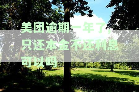 美团逾期一年了,只还本金不还利息可以吗