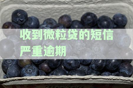收到微粒贷的短信严重逾期