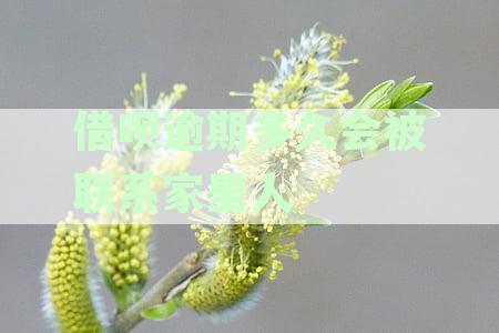借呗逾期多久会被联系家里人