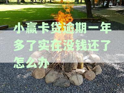逾期一年不还小赢卡贷，后果会怎样？