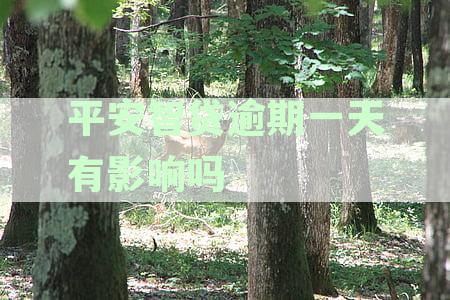平安智贷晚一天还款会逾期影响征信吗