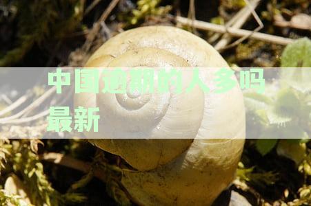 最新统计：中国当前逾期人数揭示负债与还款压力