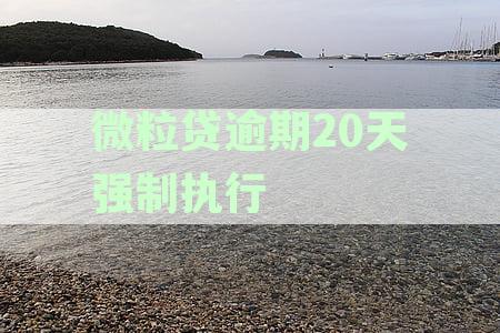 微粒贷逾期20天强制执行的处理方式