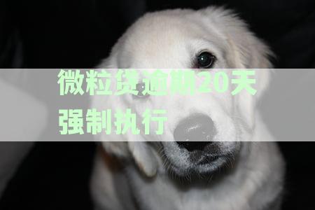 微粒贷逾期20天强制执行怎么办？微粒贷逾期强制还款时间及办理