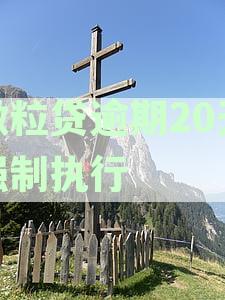 微粒贷逾期20天强制执行吗？逾期20天、25天影响征信吗？
