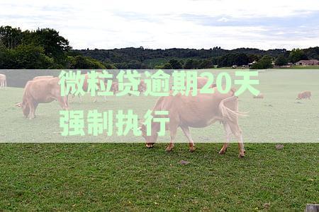 微粒贷逾期20天强制执行