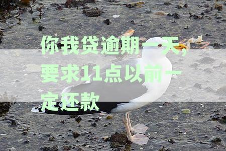 你我贷逾期一天,要求11点以前一定还款