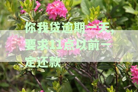 你我贷逾期一天,要求11点以前一定还款