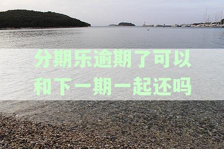 分期乐最晚可以拖几天还款并协商期