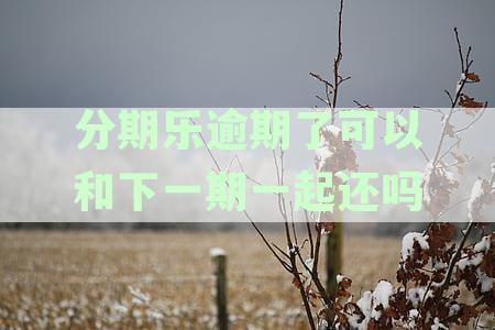分期乐逾期了可以和下一期一起还吗