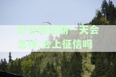 逾期一天后果严重吗？是否会影响后续使用？