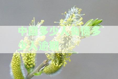 2021中国到底有多少人负债逾期：中国负债人员、负债累累人数统计