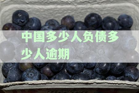 官方数据：中国人有多少人负债最新情况