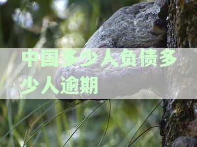 中国有多少人负债逾期及相关法律后果