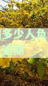 中国多少人负债多少人逾期