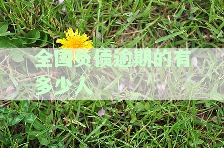 全国负债人数已达7亿逾期率42% 透视我国债务问题与解决方案