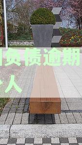 新标题：2020年全国负债率与逾期率深度解析