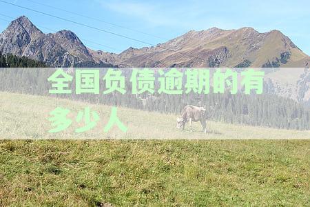 2020负债人数逾期人数及全国负债率逾期率,7亿负债人42%逾期