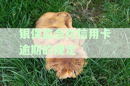 最新！银保监会出台信用卡逾期新规定，逾期还款将如何受到影响？