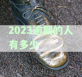 2023逾期的人有多少