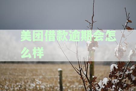 探究美团借款逾期后的影响与应对措