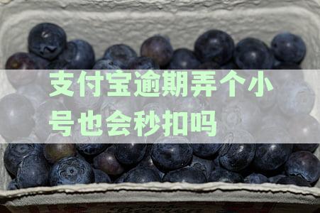 支付宝逾期弄个小号也会秒扣吗怎么办