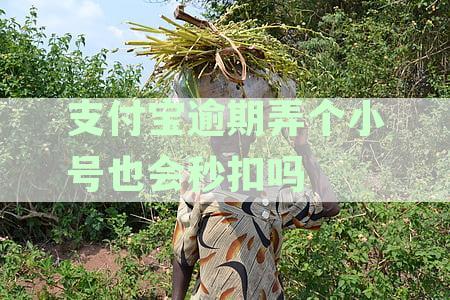 支付宝逾期会从注册的小号上面扣款吗-支付宝逾期会从注册的小号上面扣款吗安全吗