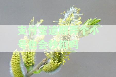 支付宝逾期弄个小号也会秒扣吗