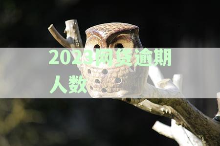 2023网贷逾期人数