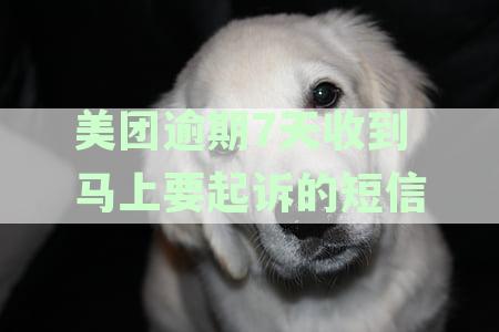 美团逾期7天收到马上要起诉的短信