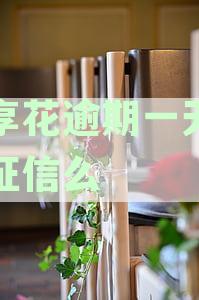 宜享花不小心逾期一天怎么办 影响征信吗 还款罚息