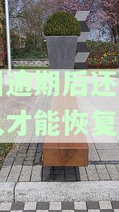 美团逾期还款后，必须一次性还清吗？解决方案解析