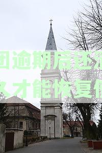 美团逾期后还清了多久才能恢复使用