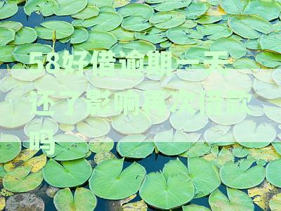 58好借逾期还款后，是否会影响再次申请借款？